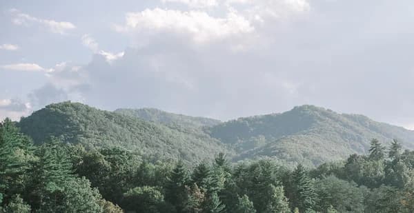 Lush forest and scenic mountain views at Moose Hollow Lodge in Pigeon Forge near the Smoky Mountains