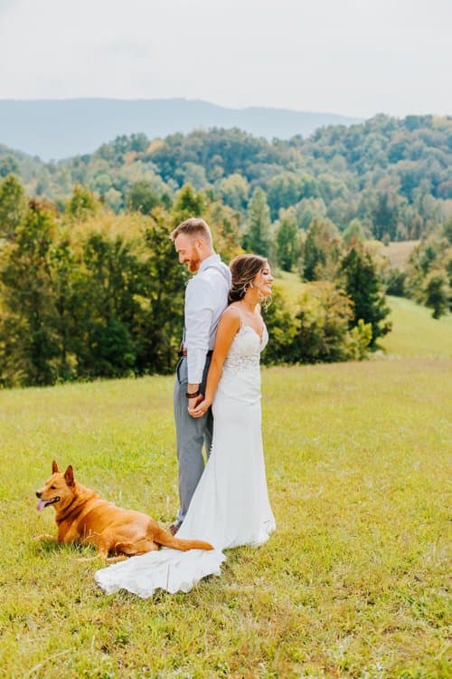 Wedding couple in a grassy field with a dog, holding hands back-to-back, green hills and mountains in the distance.