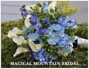 Magical Mountain Bridal